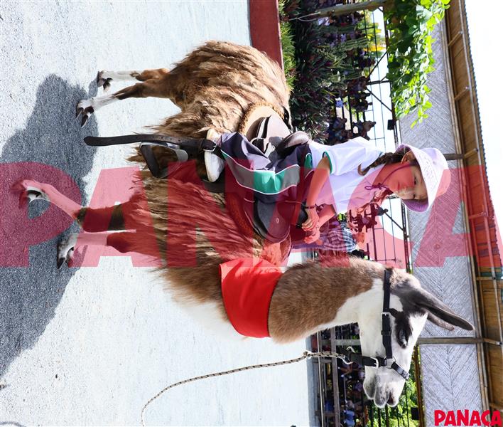 27052030