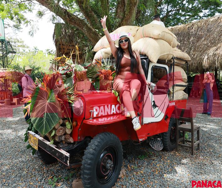 80119528