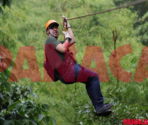95032508