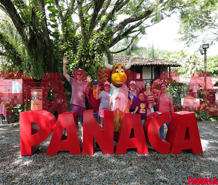 14011996