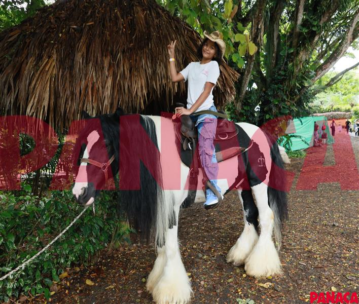 75013308