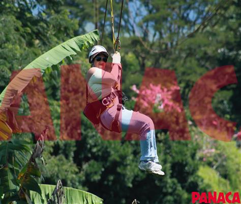 50188530