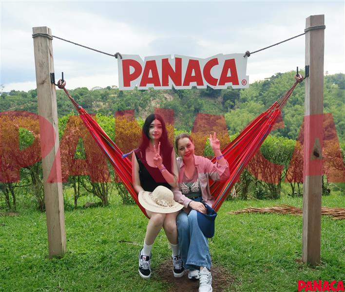 33012951