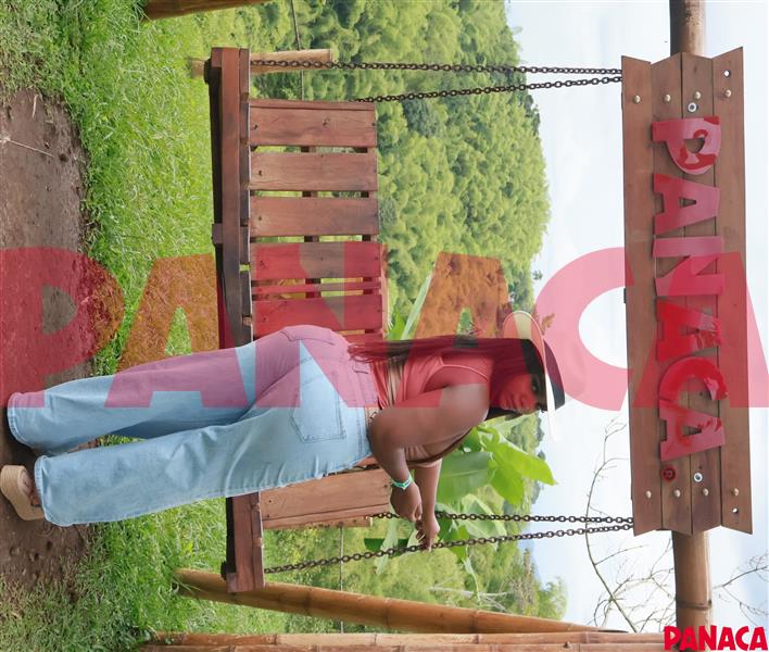 95032795