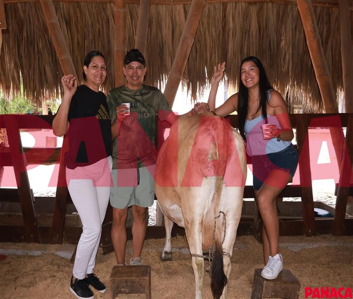 28057587