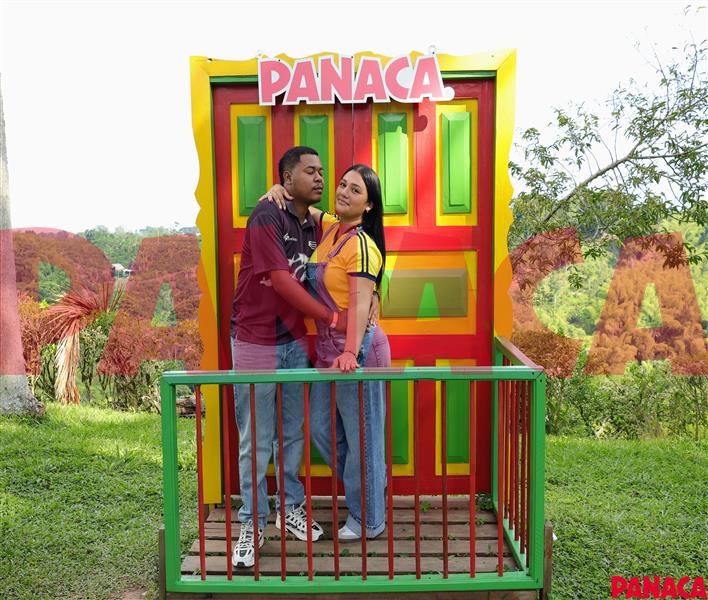 25128797