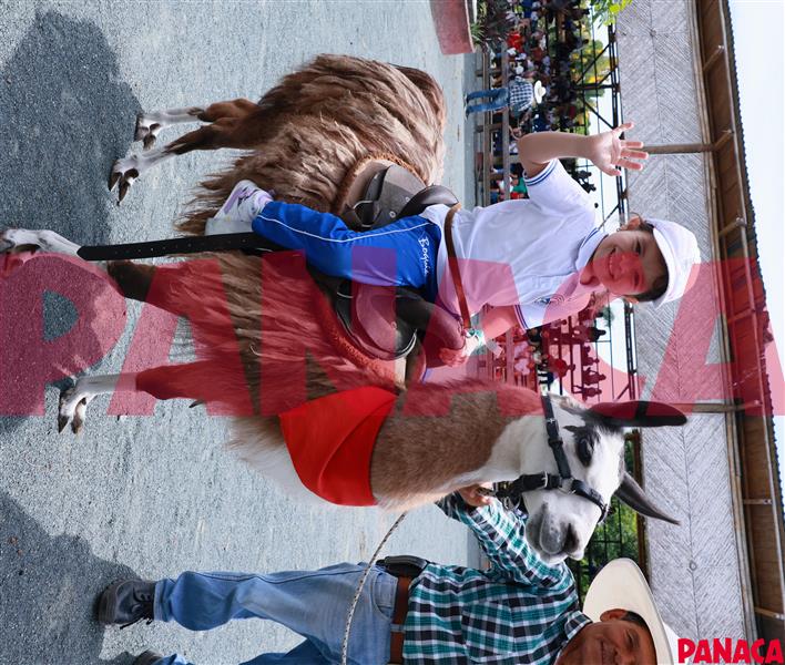 45155724
