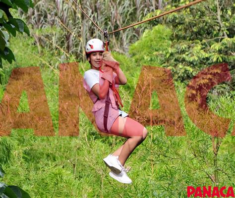 33013649