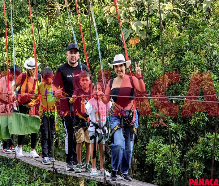 23008042