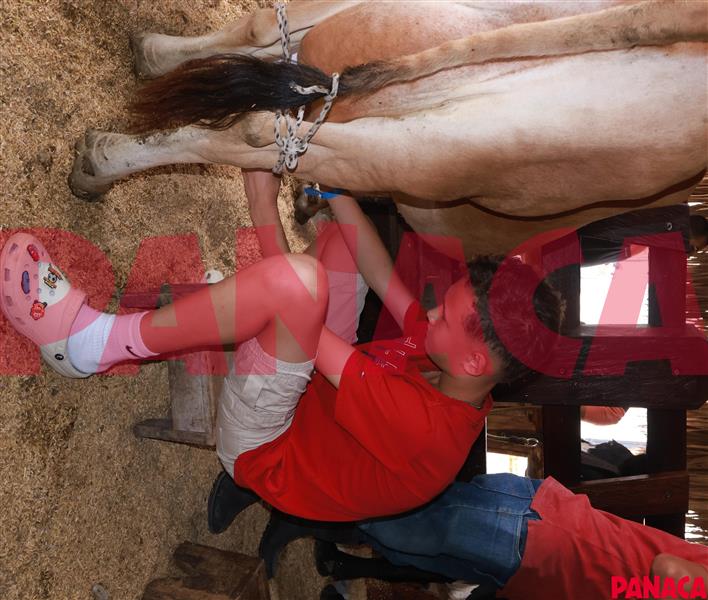 67009107