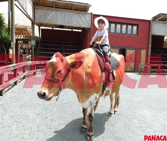 18025534