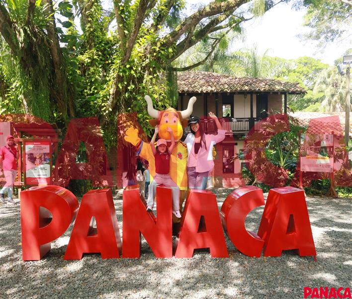 28091991