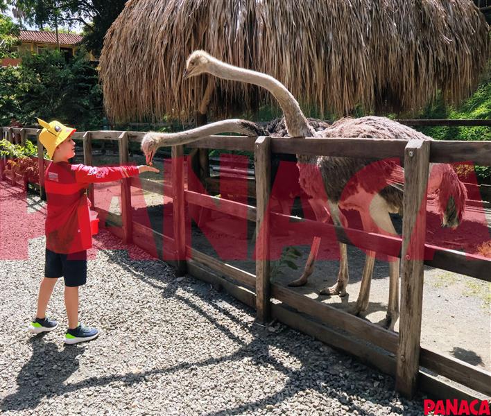 60149460