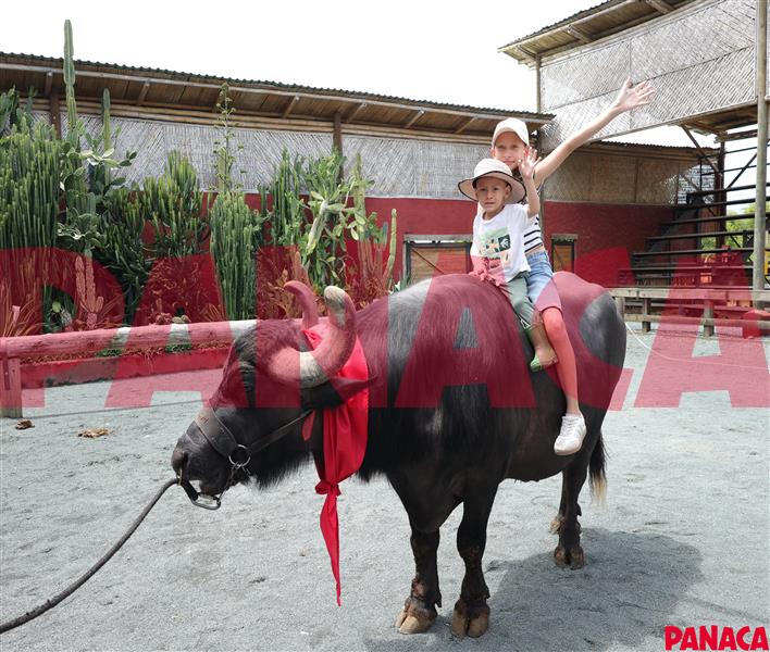 60149708