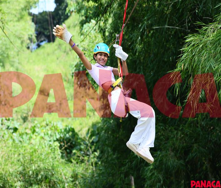 33014038