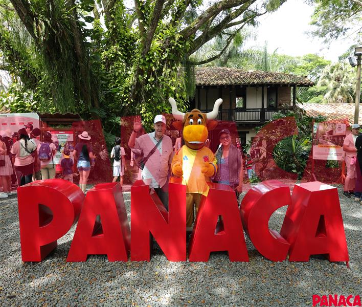 17081967