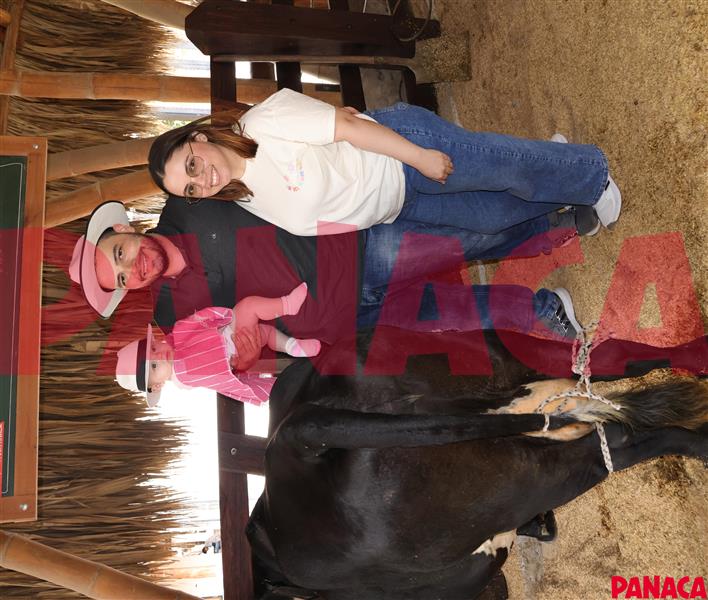 33014101