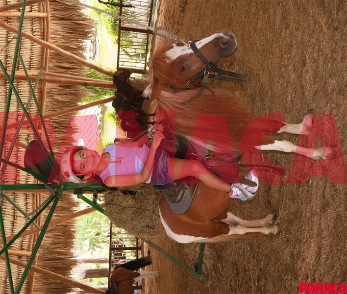 20214332