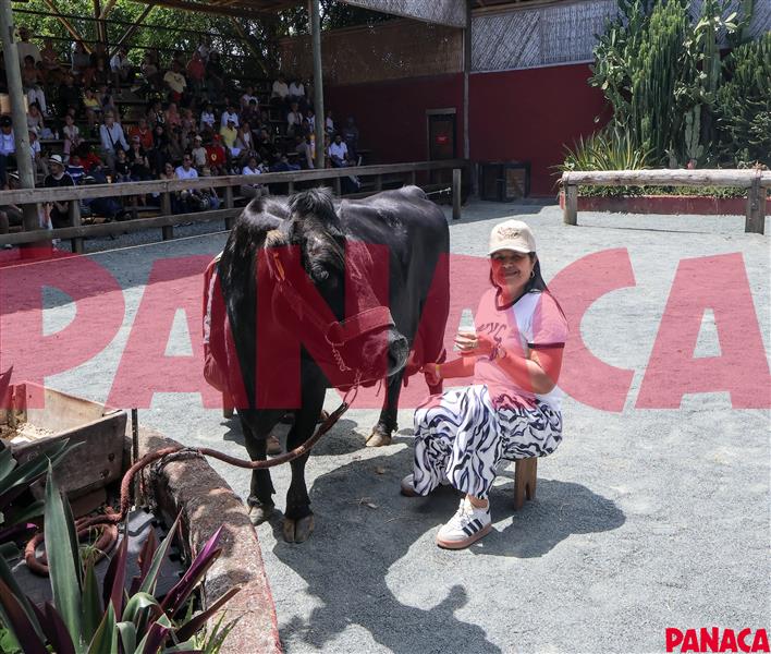 35120700