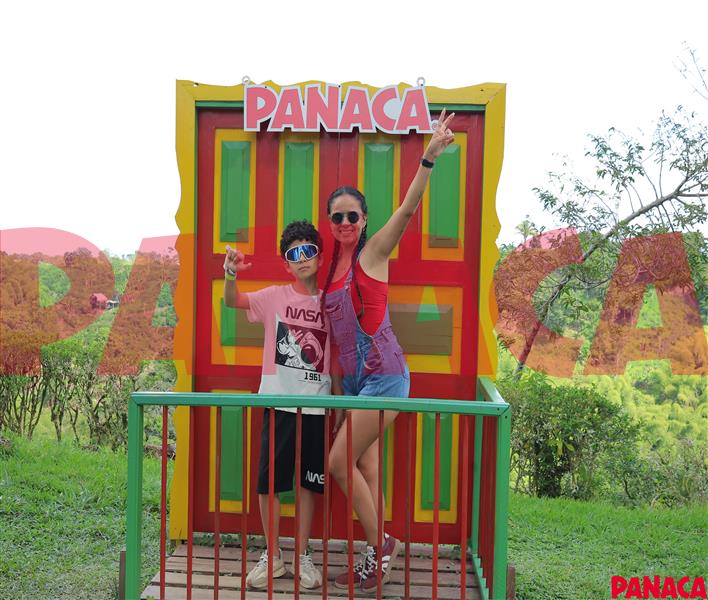 80103625
