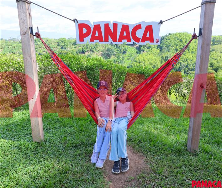 45156855