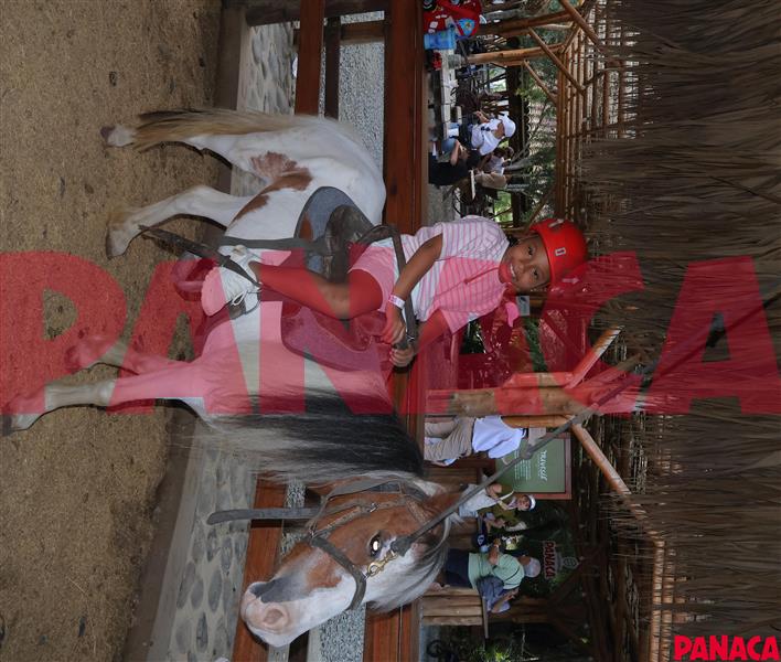 45156485