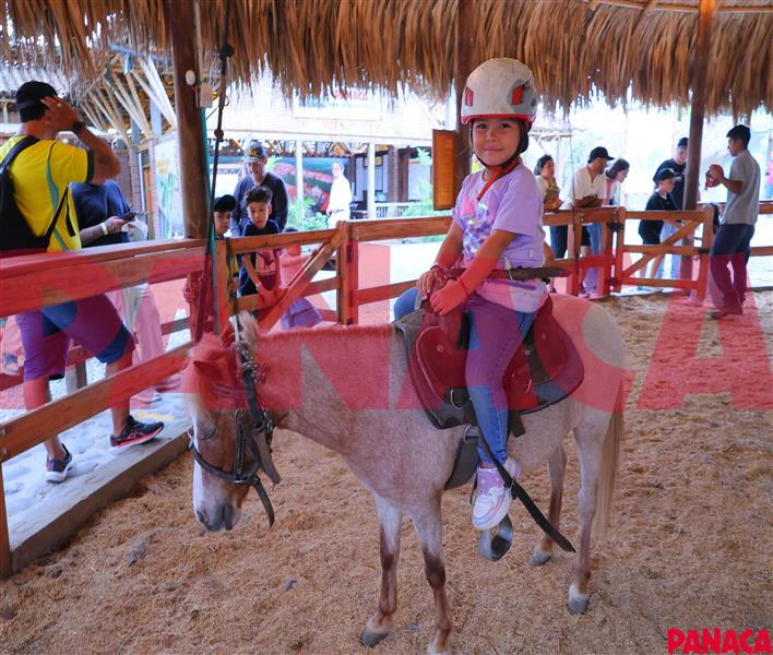 45157186