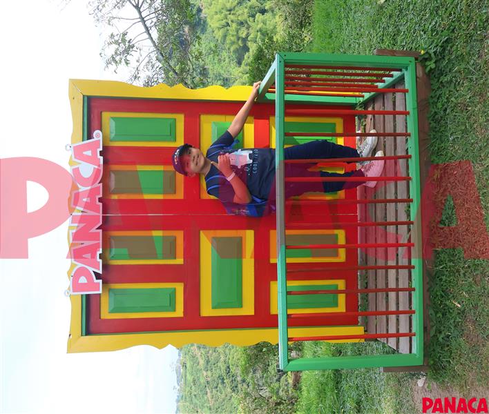 50189002