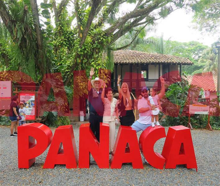 50190686