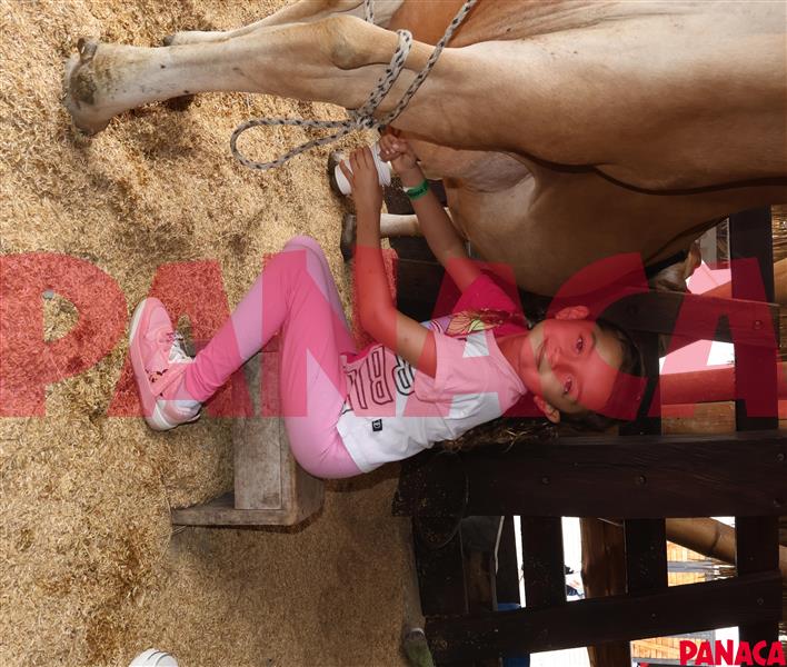67009544
