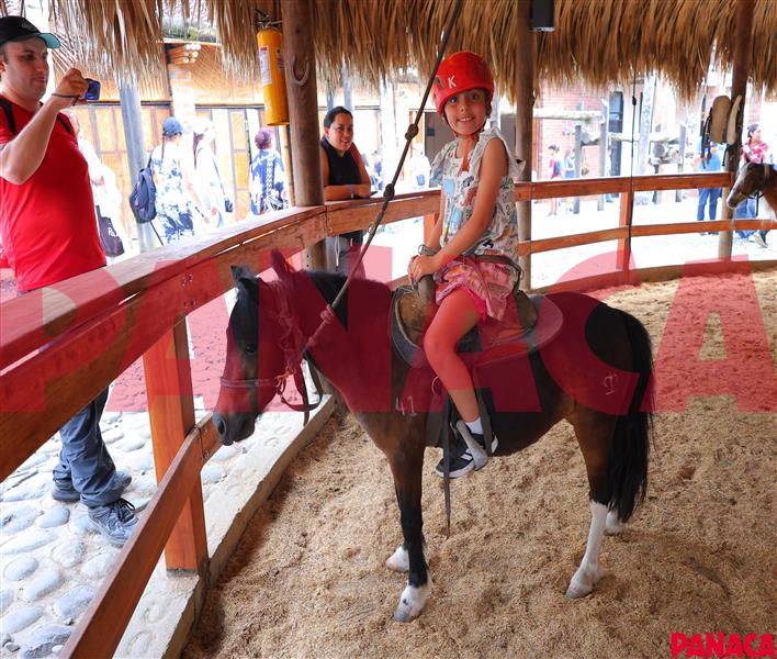 67009551