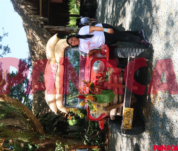 20213983