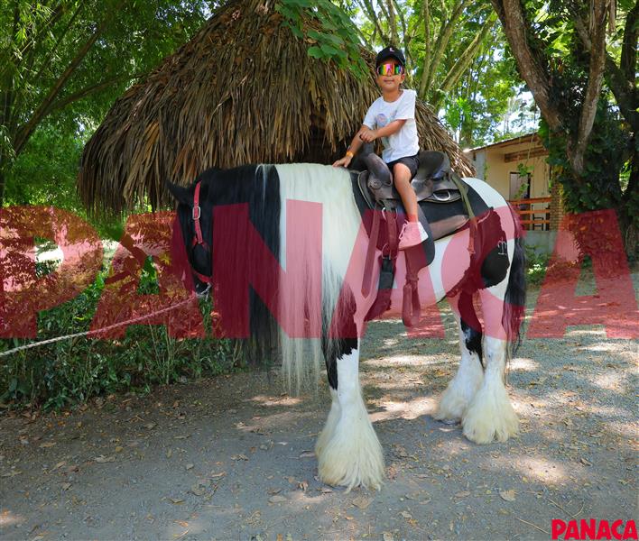 20214911