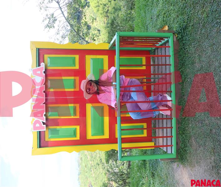 20214791