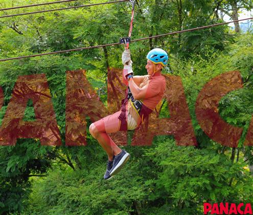 33015034