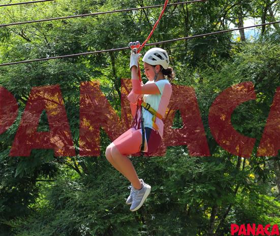 80125553