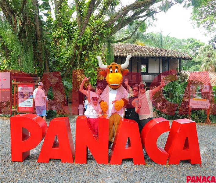 45157252