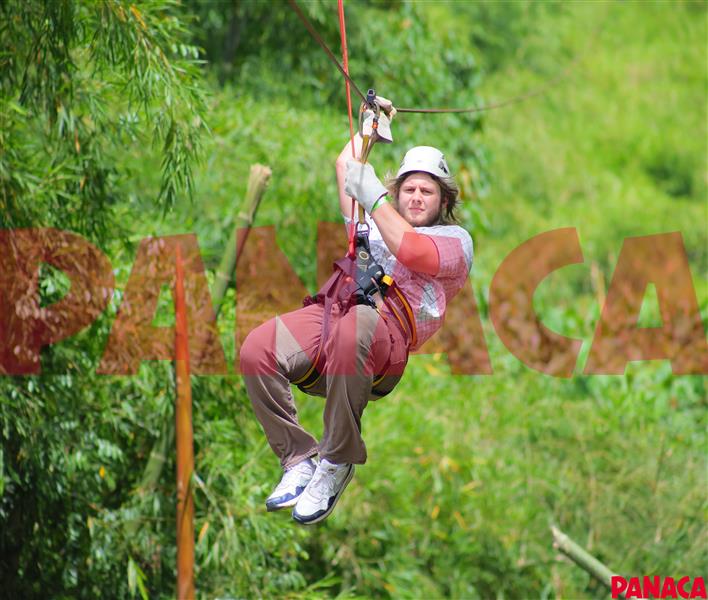 45158058