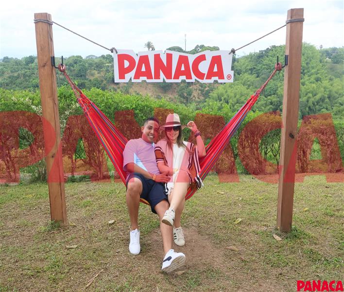 45157796