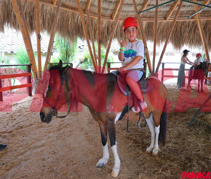 18027419
