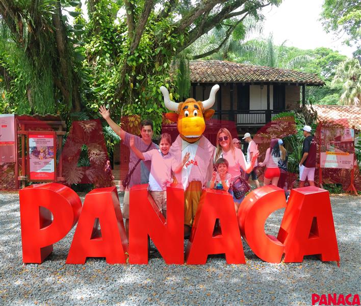 04031994