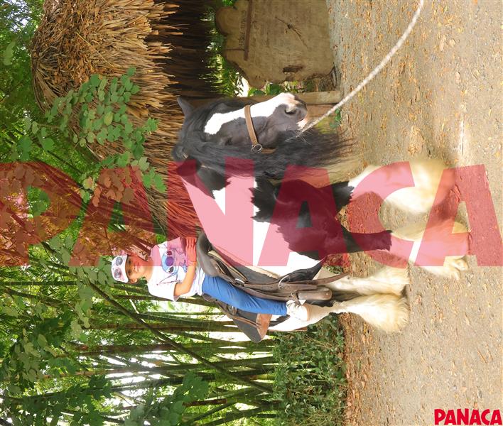 25130967
