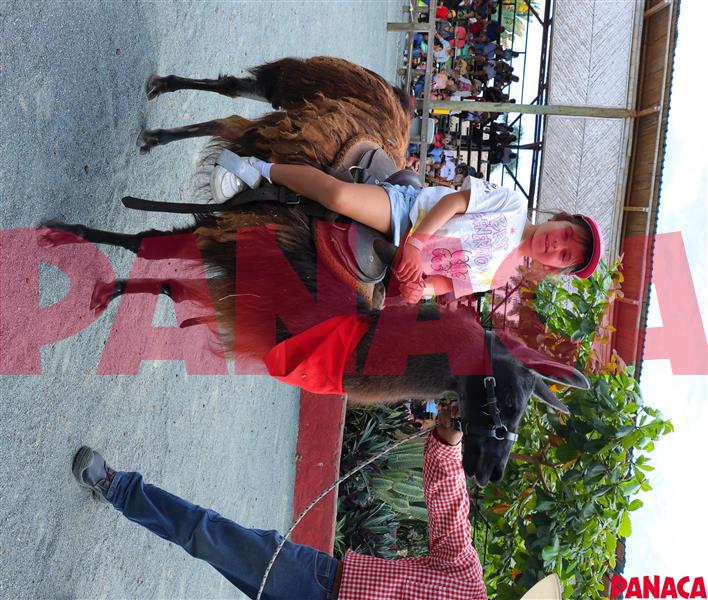 25131425