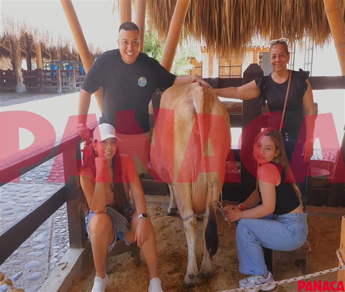 25131322