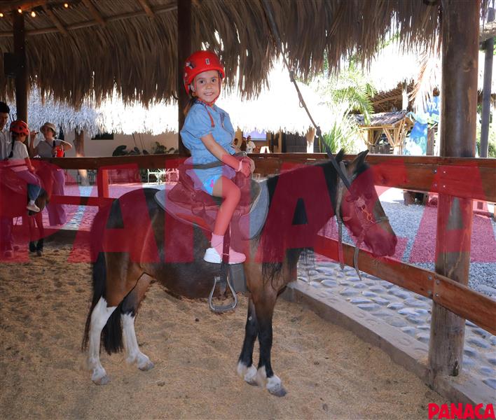 25130914