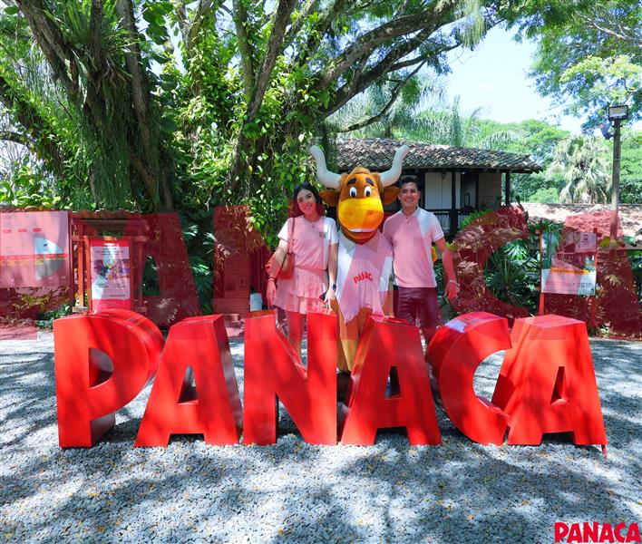 50190874