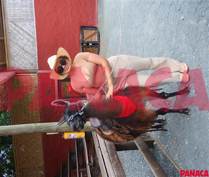 50189576