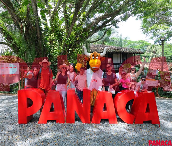 15051993