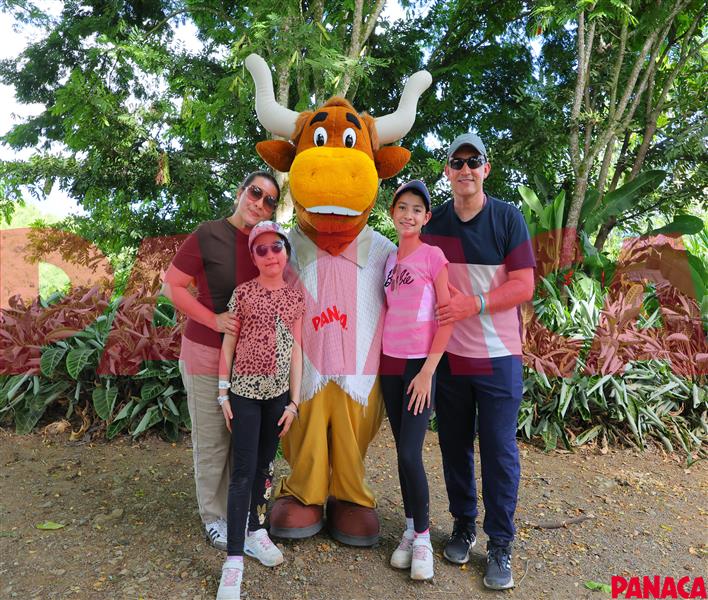 65424523