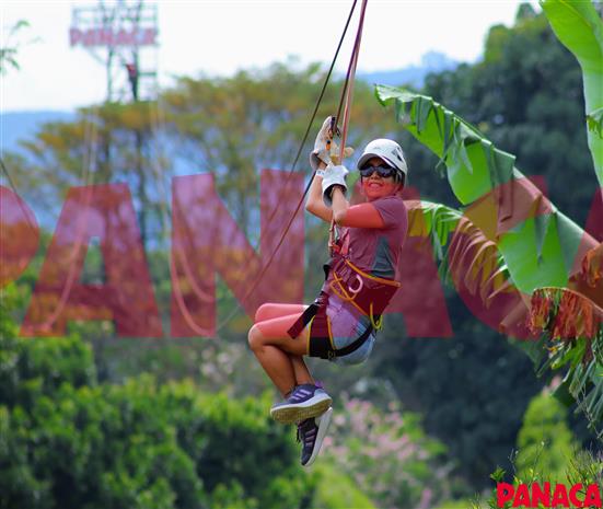 67009863